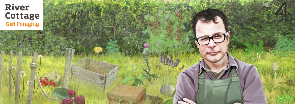 River Cottage Get Foraging in the Guardians top 20